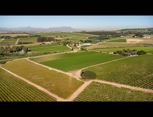 94HA FARM FOR SALE IN STELLENBOSCH FARMS